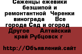 Саженцы ежевики безшипой и ремонтантной. Черенки винограда . - Все города Сад и огород » Другое   . Алтайский край,Рубцовск г.